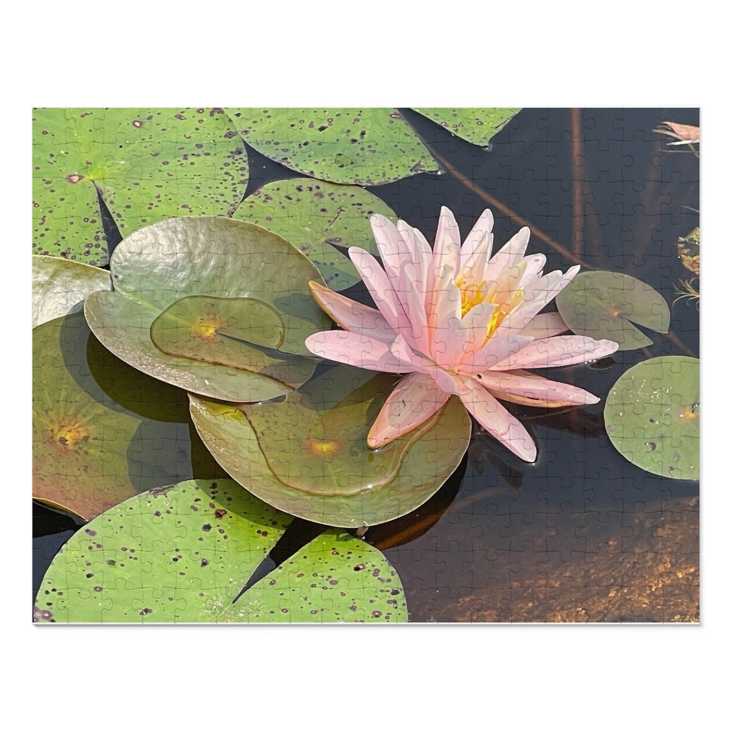 Jigsaw Puzzle with Tin